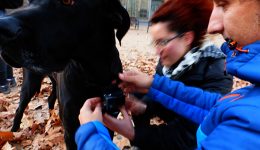 caminar-de-vic-a-cantonigros-derivamssol-00