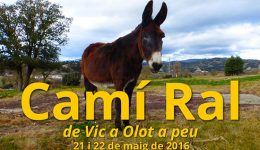Camí-RAL-Deriva-Mussol-de-Vic-a-Olot-a-peu 00