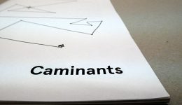 caminants-deriva-mussol-acvic-00