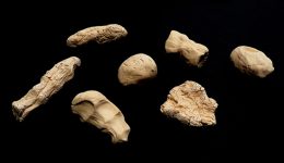 caminar fins a savassona de nit la ma calida art i escola acvic deriva mussol jordi lafon 000