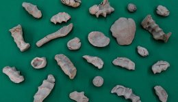 vespertina-savassona-deriva-mussol-jordi-lafon-eva-marichalar-freixa-0