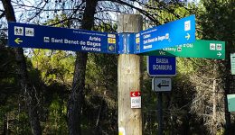 caminar-vic-cacis-jordi-lafon-roser-oduber-0