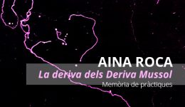 aina roca deriva mussol memoria de practiques