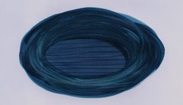 sentim el llac deriva mussol 00