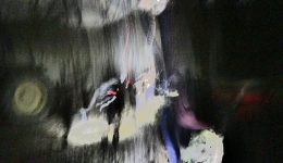 microscopies deriva mussol eva marichalar-freixa jordi lafon 00